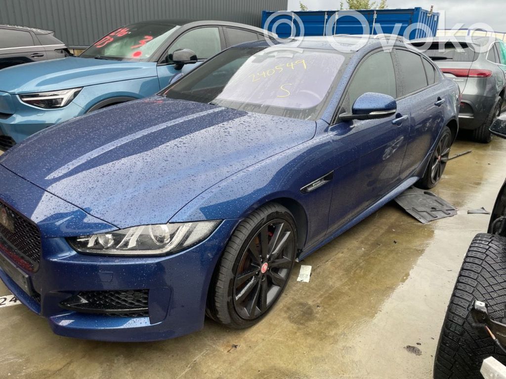 XE XE  AJ813375