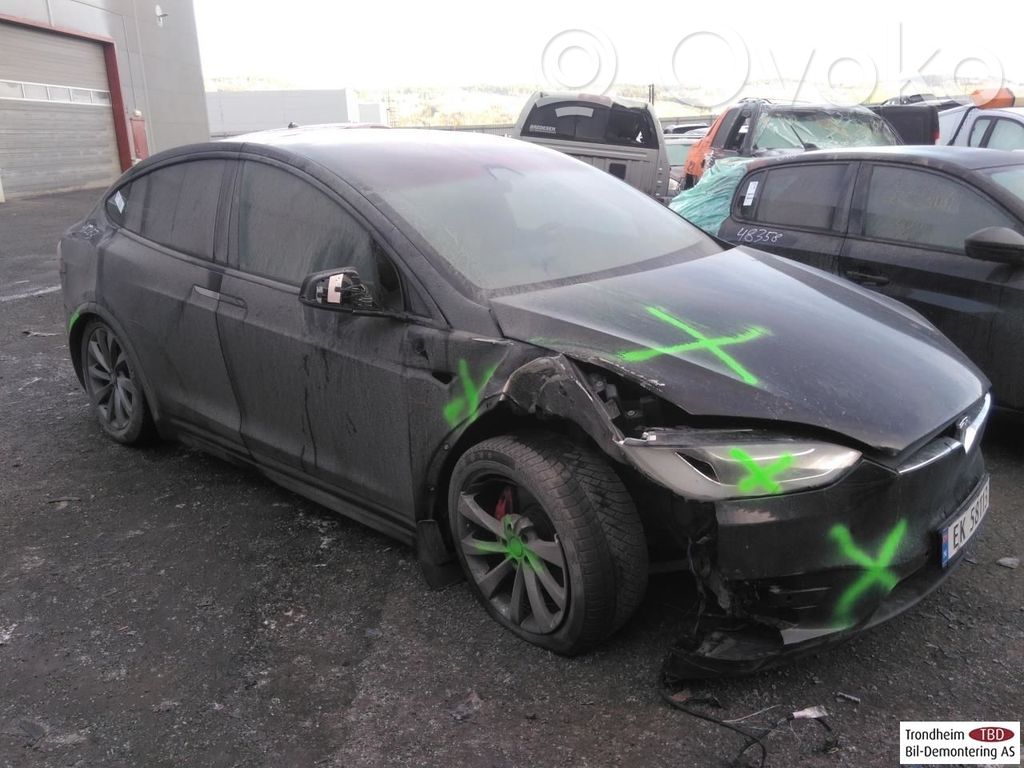 Model X Tesla Model X  105514900G