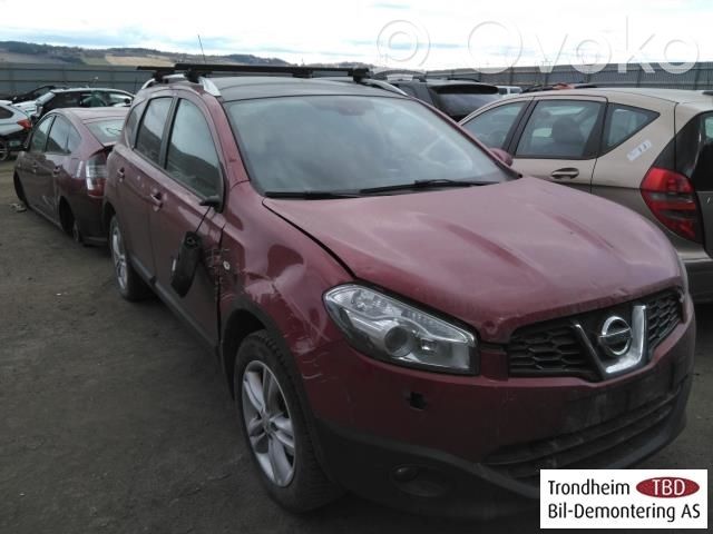 Qashqai Qashqai, Qashqai+2  48810BR60C
