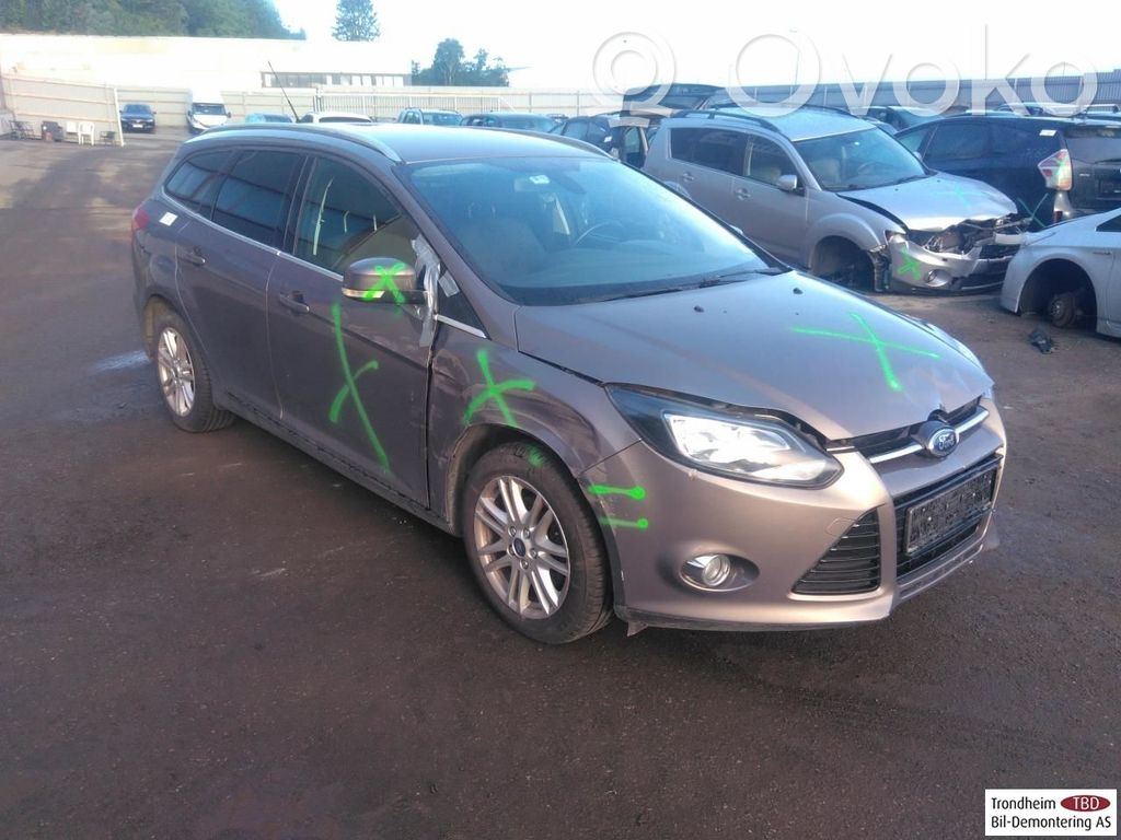 Focus Focus  CV6119D629FB