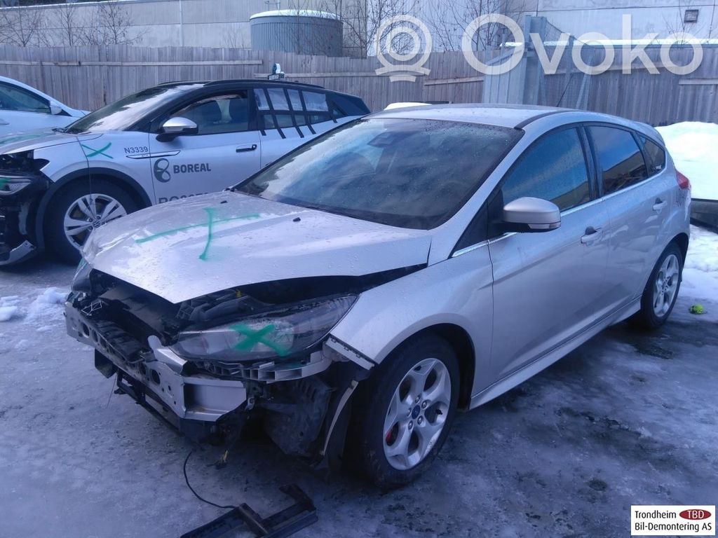 Focus Focus  50989002