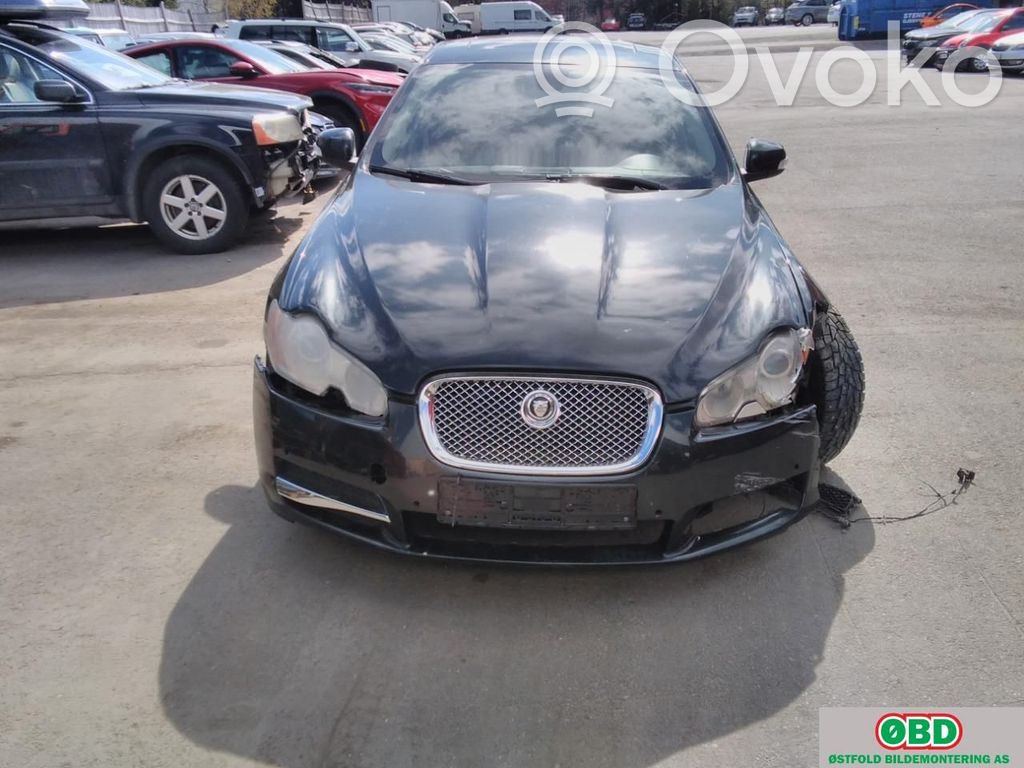 XF X250 XF  C2P14452