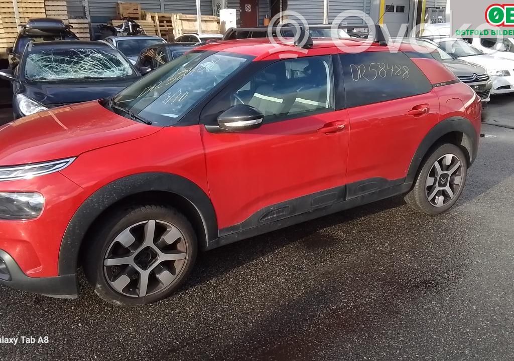 C4 Cactus C4 Picasso, Grand Picasso, Aircross, Cactus  9823817680