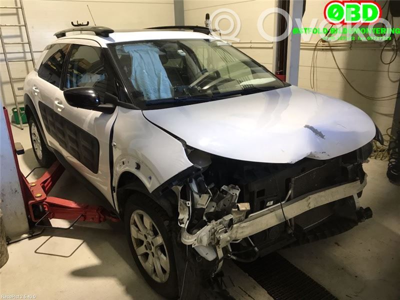 C4 Cactus C4 Picasso, Grand Picasso, Aircross, Cactus  1611873080