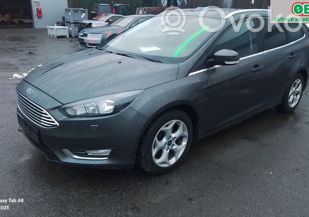 Focus Focus  2557599