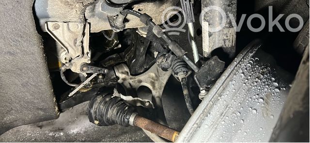 Kuga III Kuga  2432225