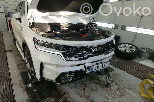 Sorento Sorento  391312MMG0