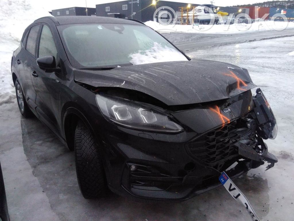 Kuga III Kuga  2432225