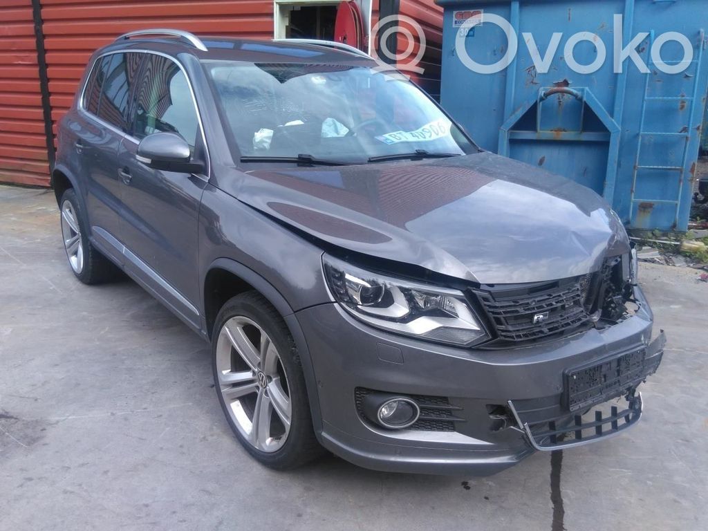 Tiguan Tiguan