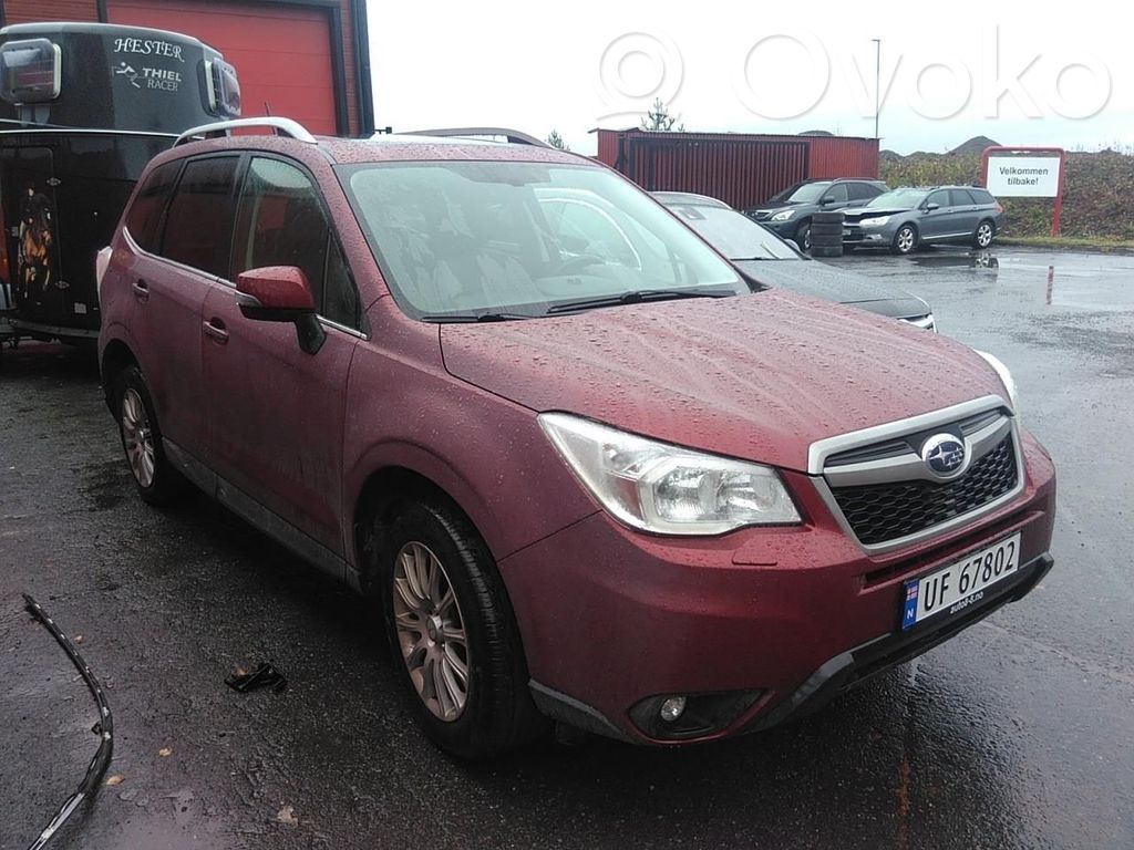 Forester SJ Forester  2011DJ5493