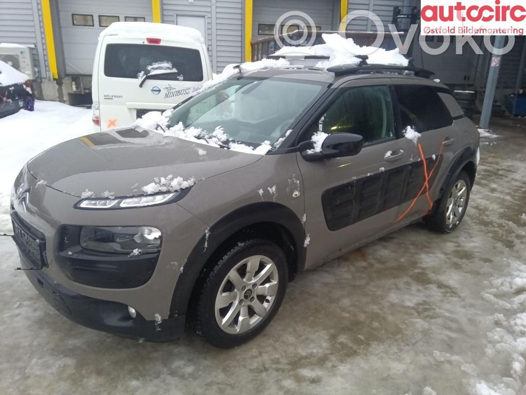 C4 Cactus C4 Picasso, Grand Picasso, Aircross, Cactus  9804945280