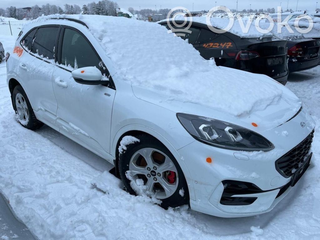 Kuga III Kuga  BGDA