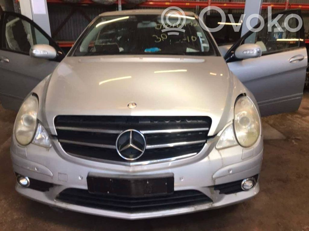 R W251 R-class, AMG (W251)  A1645458716