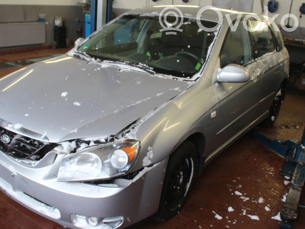 Cerato Cerato  977302F000