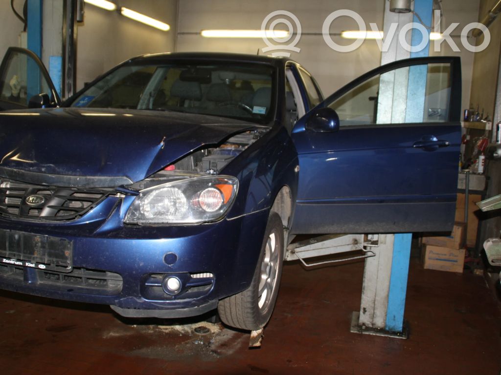 Cerato Cerato  40729