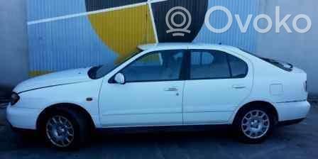 Primera Primera  89006453