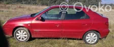 Xsara Xsara, Xsara Picasso