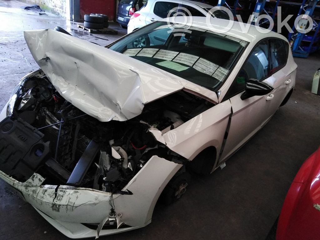 Leon (5F) Leon  5F0827565A
