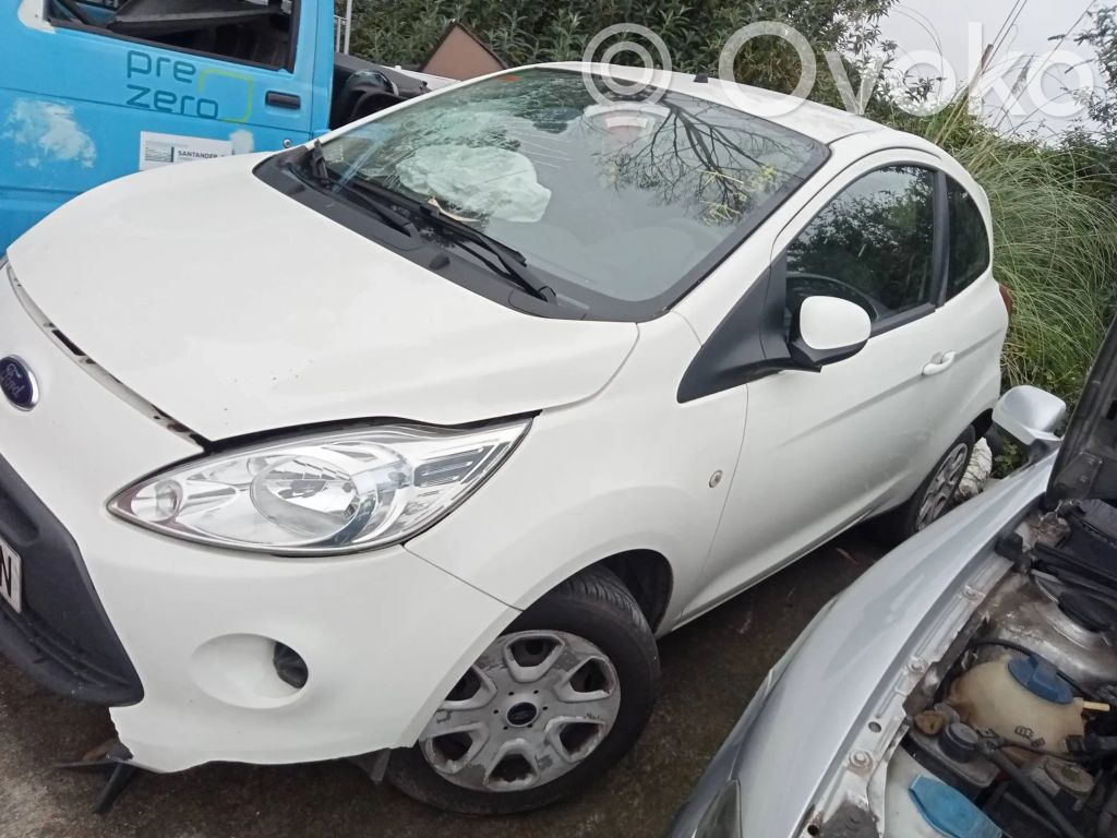 Ka Ka  61990120A