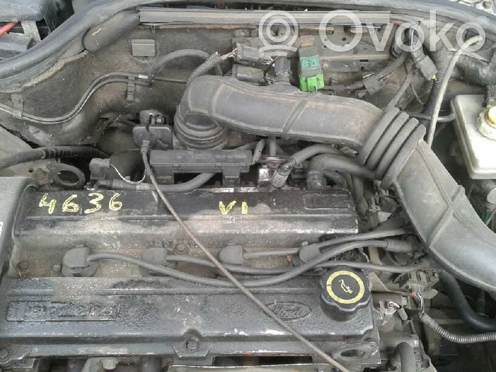Escort Escort  94AB10300BA