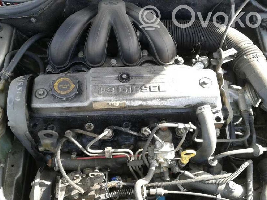 Escort Escort  1406074