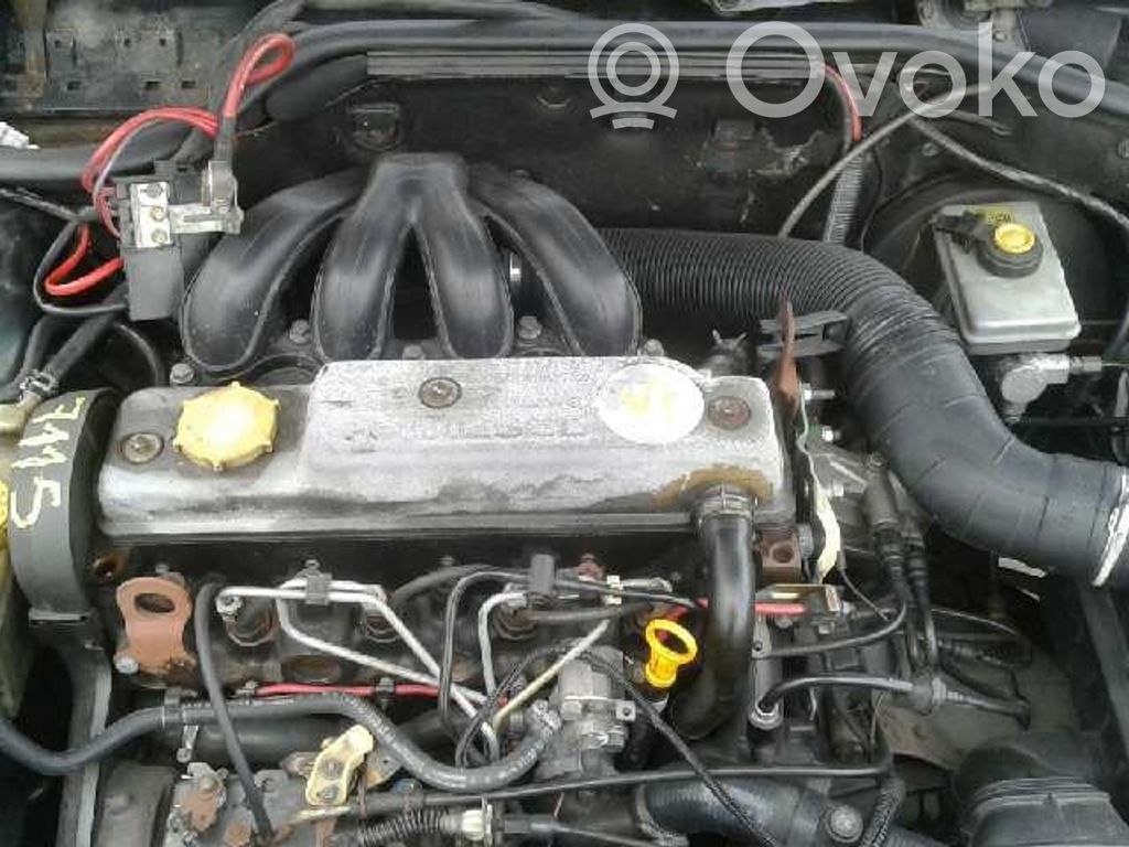 Escort Escort  91FF10300JA