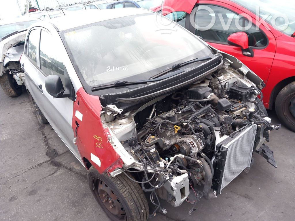 Picanto Picanto  3911104655