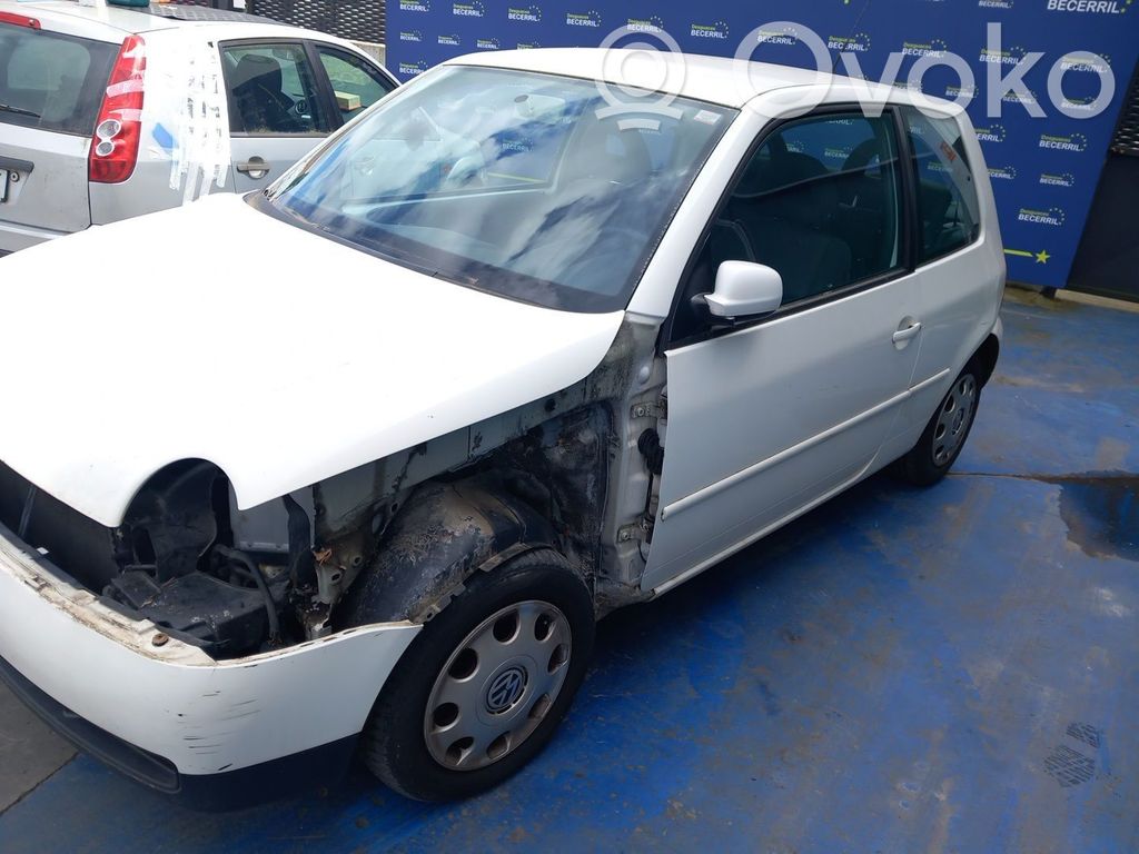Lupo Lupo  036906034CG