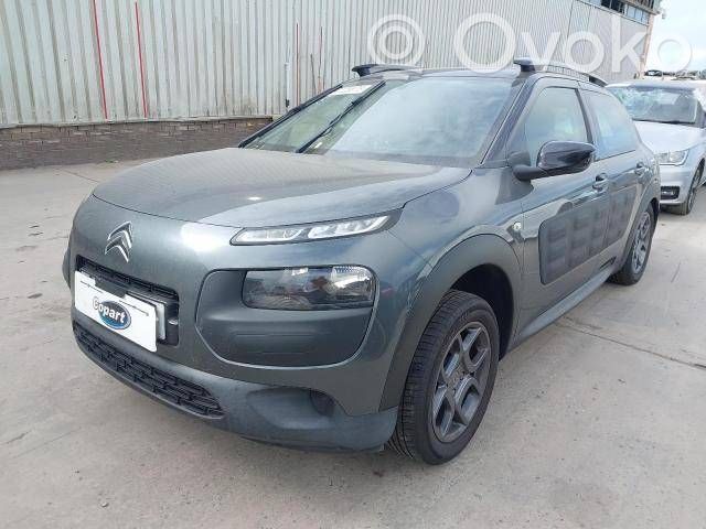 C4 Cactus C4 Picasso, Grand Picasso, Aircross, Cactus  9801521880