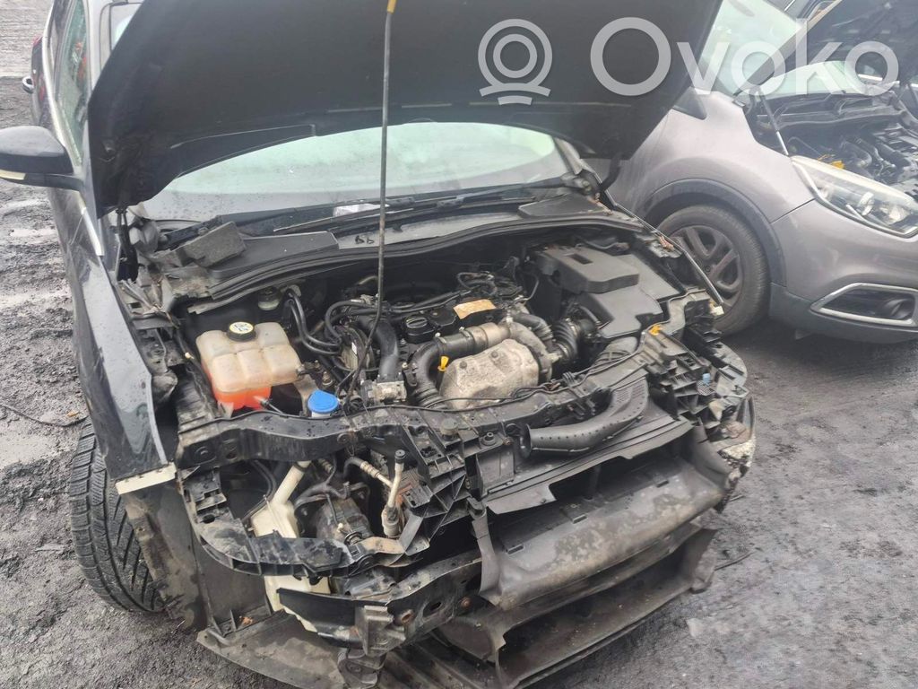 Focus Focus  AV6N10300GC