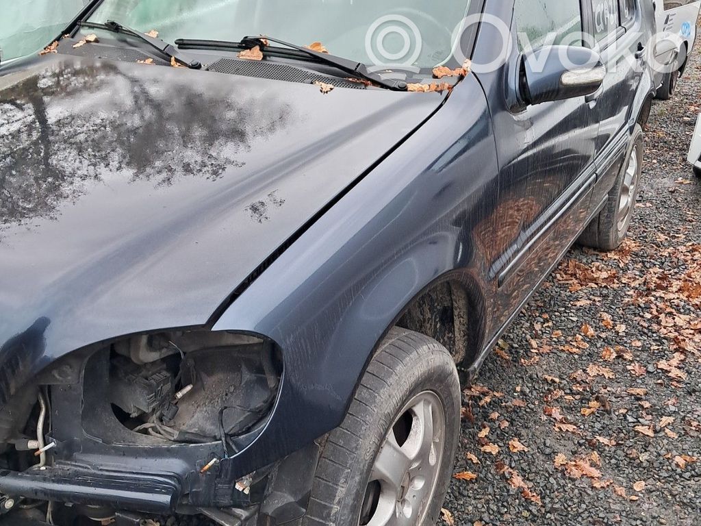 ML W163 ML-class, AMG (W163, W164, W166)  1638201544