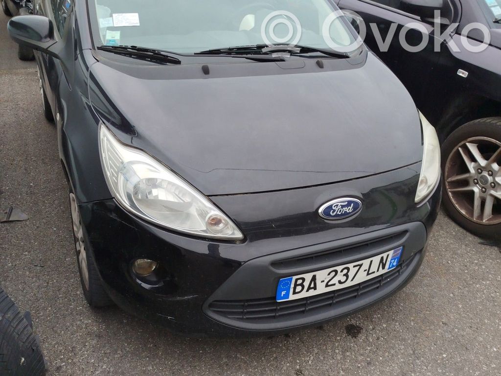 Ka Ka  1571590