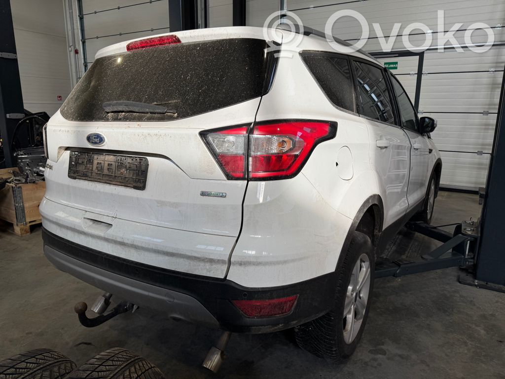 Kuga II Kuga