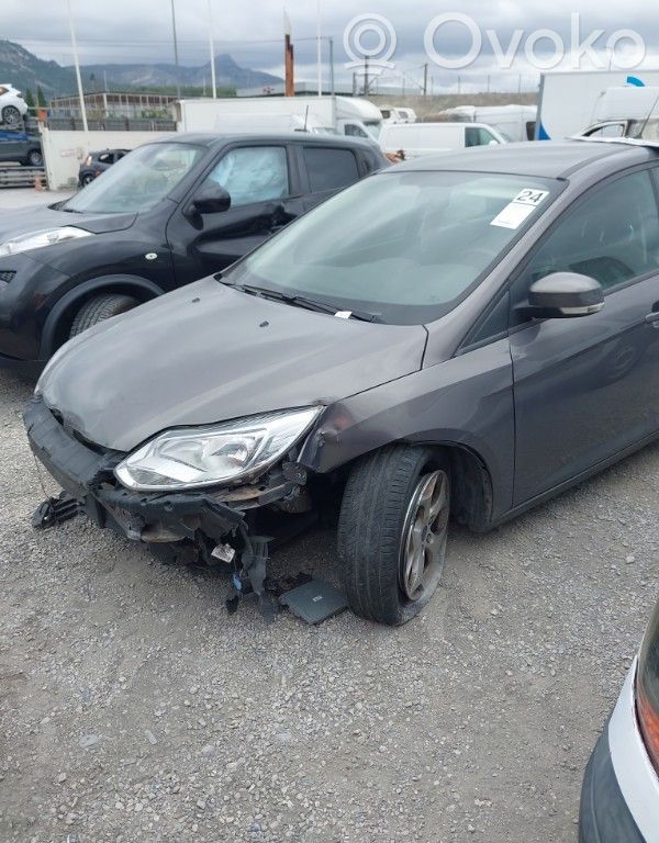 Focus Focus  1769420