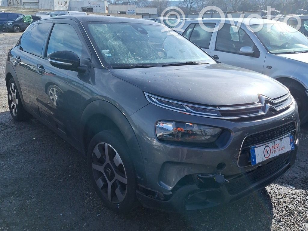 C4 Cactus C4 Picasso, Grand Picasso, Aircross, Cactus  1627638180