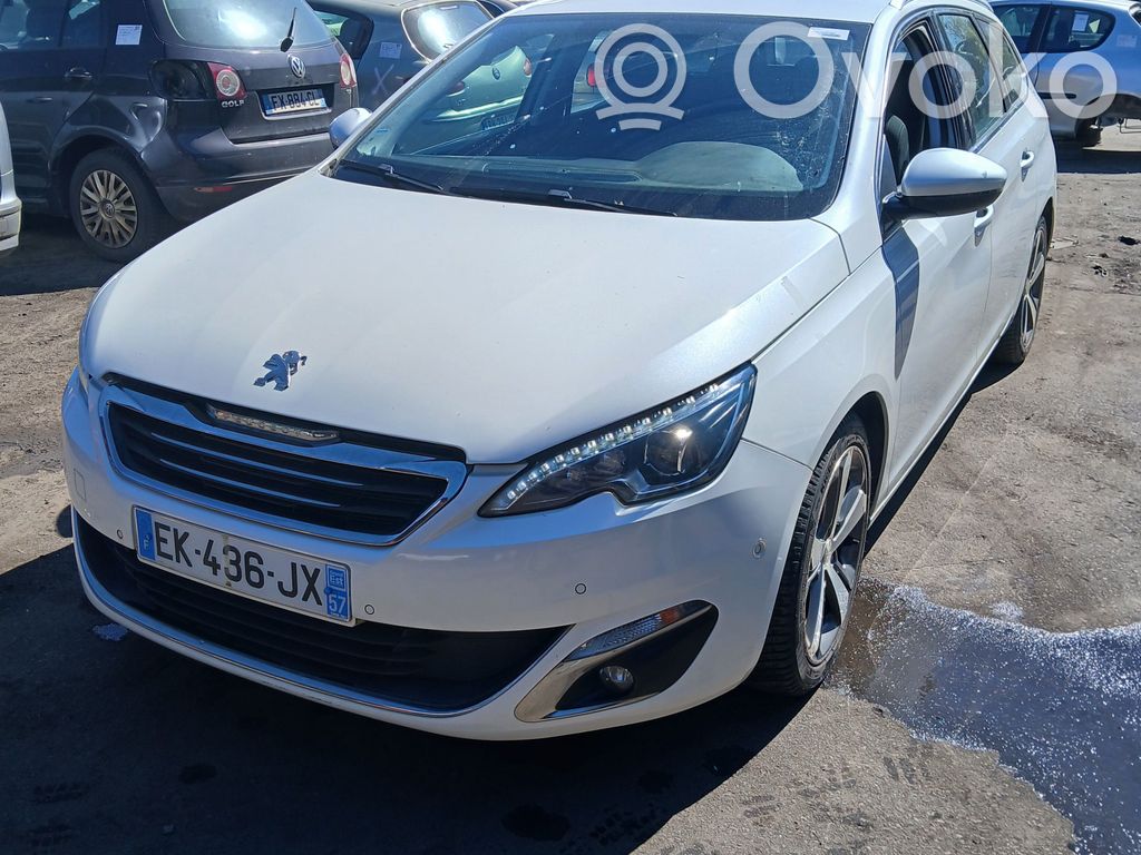 308 308  1612521380