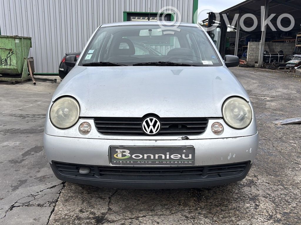 Lupo Lupo  6X0807421EGRU