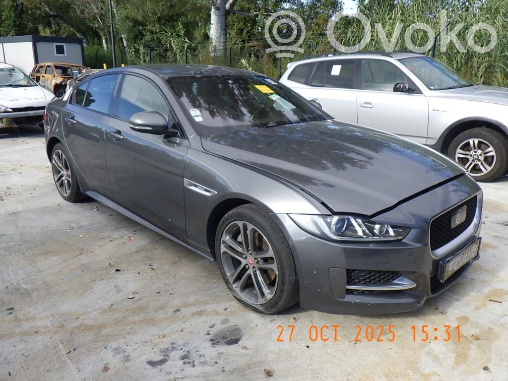 XE XE  T2H26974