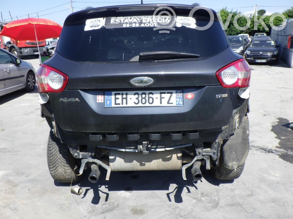 Kuga I Kuga  1497992