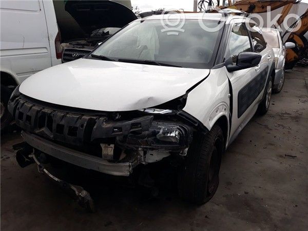 C4 Cactus C4 Picasso, Grand Picasso, Aircross, Cactus  ROTO