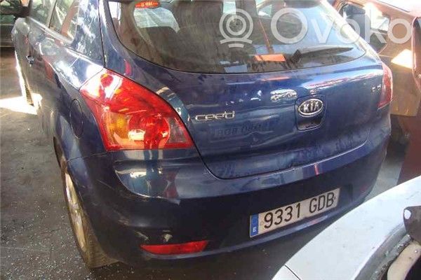 Ceed Ceed, Ceed SW, Pro Ceed  265230231