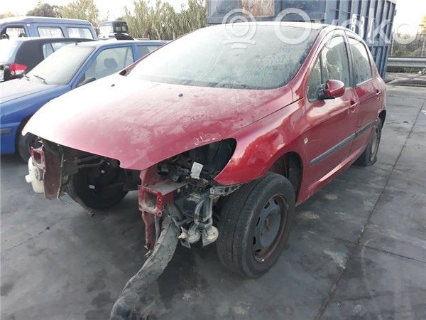 307 307  5WS40133C