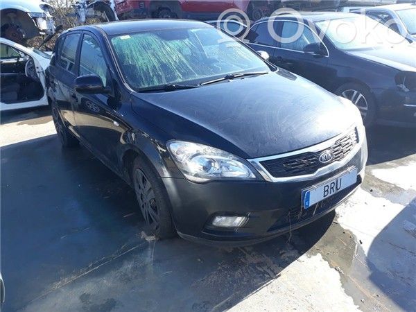 Ceed Ceed, Ceed SW, Pro Ceed  281016492