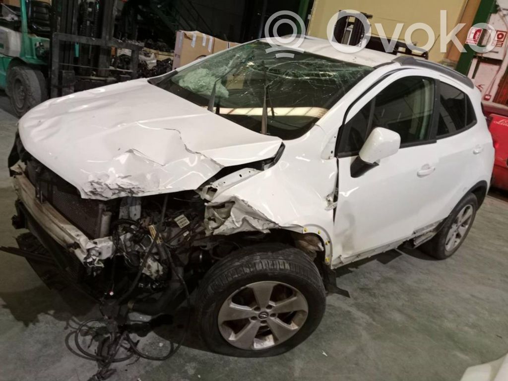 Mokka Mokka