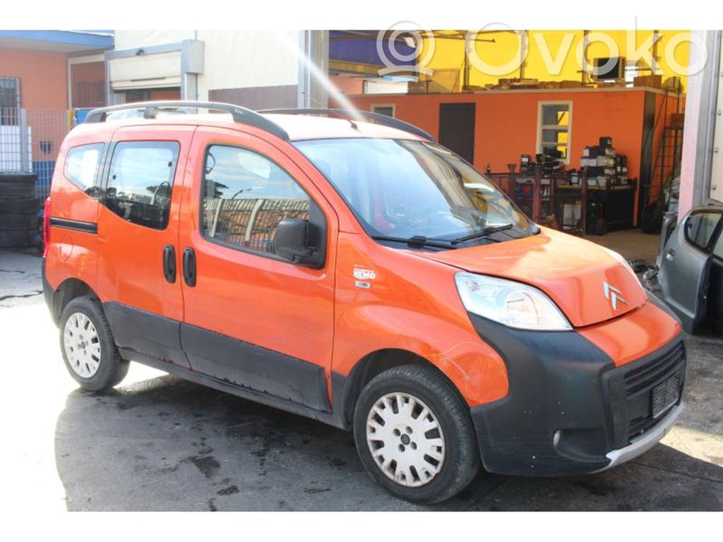 Nemo Nemo  1636123880