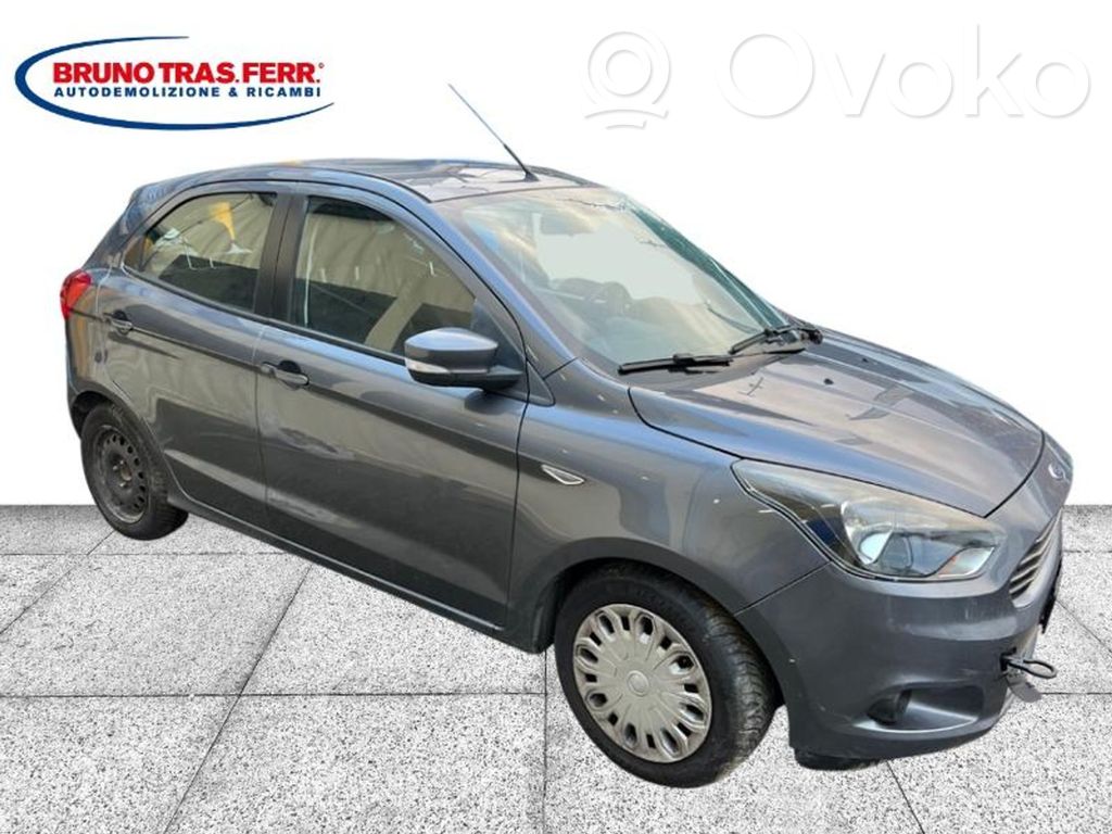 Ka Ka  2024508