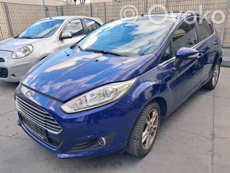Fiesta Fiesta  1911580