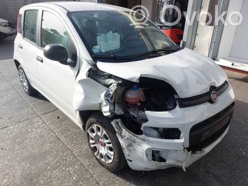 Panda III Panda  55281784