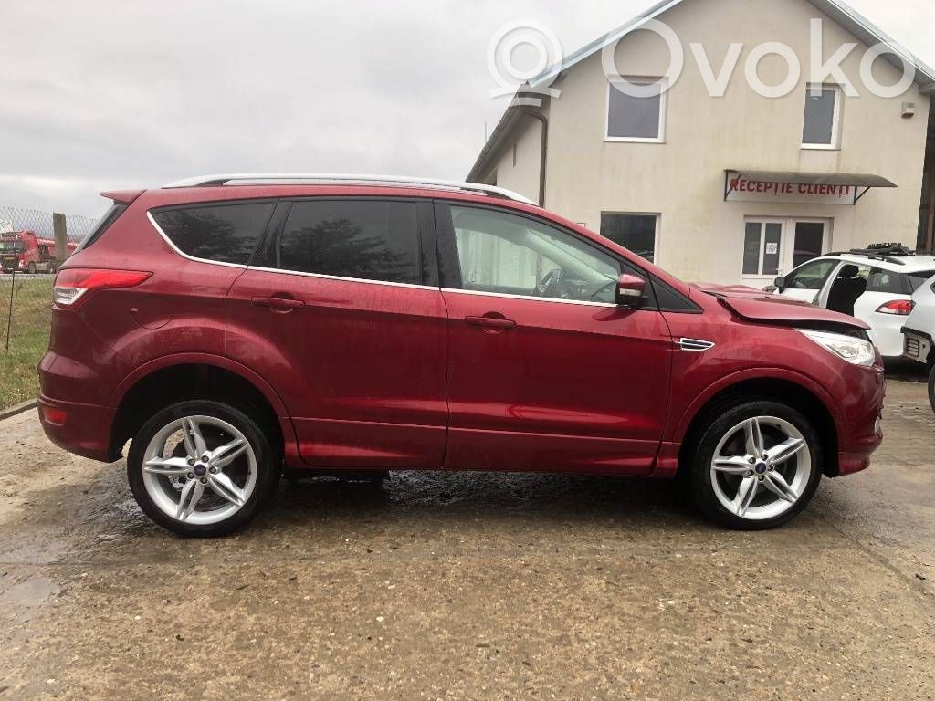 Kuga II Kuga