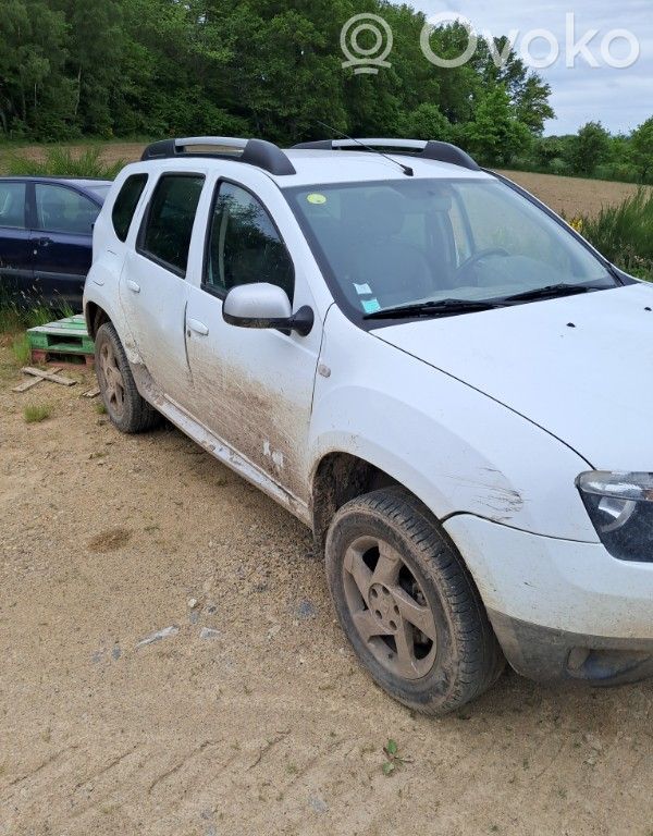 Duster Duster  256104007R